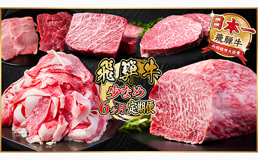【毎月定期便】飛騨牛 少なめ定期便 計2.5kg 全6回 ステーキ、切り落とし、焼肉、赤身ブロック肉【配送不可地域：離島】【4055503】