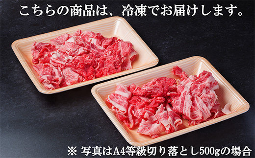 飛騨牛 厳選切り落とし 800g(400g×2)　A4〜A5等級　黒毛和牛　小分け【配送不可地域：離島】【1484849】