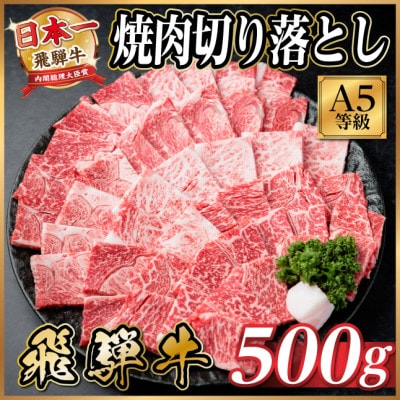 飛騨牛 A4〜A5等級 焼肉切り落とし 500g(焼肉・BBQ用)【配送不可地域：離島】【1754447】