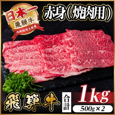 飛騨牛 厳選赤身(焼肉・BBQ用) 1kg(500g×2) 　黒毛和牛 小分け A4〜A5等級【配送不可地域：離島】【1543758】