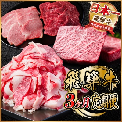 【毎月定期便】飛騨牛 定期便 計1.4kg【冷蔵便】全3回【配送不可地域：離島】【4055505】