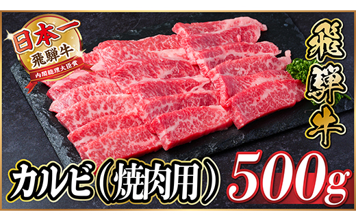 【12/20ご入金分まで年内発送】飛騨牛　厳選カルビ(焼肉・BBQ用)500g　A4〜A5等級【配送不可地域：離島】【1487355】
