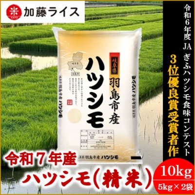 令和7年産 岐阜県羽島市産ハツシモ 精米10kg(5kg×2袋)【1669150】