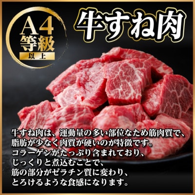飛騨牛 牛すね肉(スネ肉) 角切り 約500g 訳あり【冷蔵便】A4〜A5等級【配送不可地域：離島】【1634640】