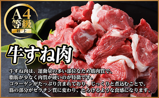 飛騨牛 厳選牛すね肉(スネ肉) 角切り 500g 煮込み用　訳あり　A4〜A5等級【配送不可地域：離島】【1649909】