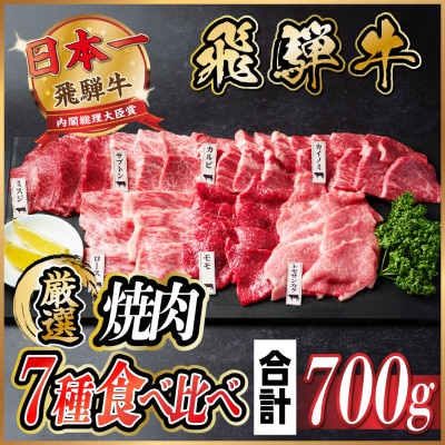 飛騨牛　焼肉7種食べ比べ(カルビ・トモサンカク・モモ・ロース・カイノミ・ミスジ・ザブトン)約700g【配送不可地域：離島】【1532679】