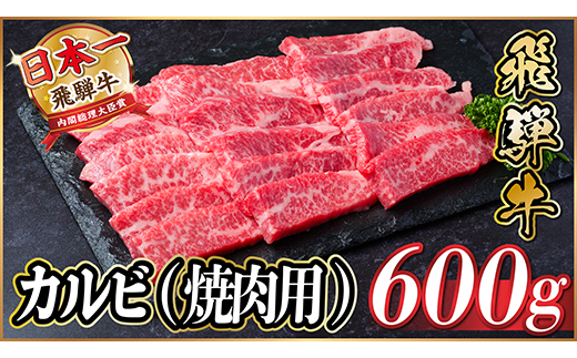 【12/20ご入金分まで年内発送】飛騨牛 厳選カルビ(焼肉・BBQ用) 600g(300g×2)【配送不可地域：離島】【1543783】