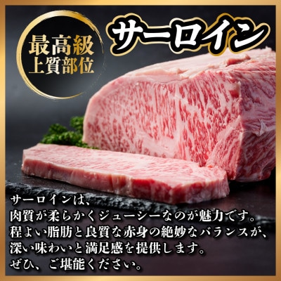 飛騨牛　ステーキ2種食べ比べセット　計約1.2kg【配送不可地域：離島】【1530711】