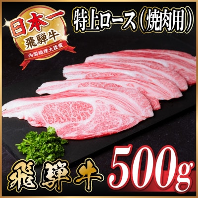 飛騨牛 特上ロース 焼肉 500g【配送不可地域：離島】【1543790】