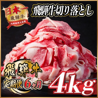 【毎月定期便】飛騨牛　切り落とし　約4kg【冷蔵便】全6回【配送不可地域：離島】【4055094】