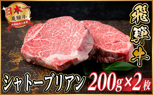 飛騨牛 シャトーブリアン 約400g(約200g×2枚)  黒毛和牛 ステーキ牛肉【配送不可地域：離島】【1733119】
