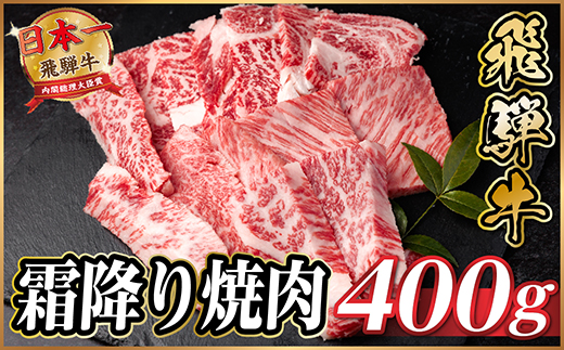 飛騨牛 霜降り焼肉 約400g BBQ用(上カルビ、肩ロース、カイノミ、ザブトン、ミスジなど)訳あり【配送不可地域：離島】【1733114】