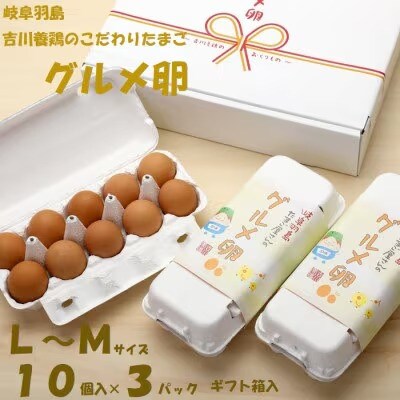 吉川養鶏のグルメ卵(L〜Mサイズ10個×3パック)　贈答箱　観光協会推奨【はしまブランド】認定品　【配送不可地域：離島】【1720134】
