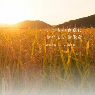 【発送月固定定期便】【先行予約】岐阜県産ハツシモ(精米)10kg【隔月定期便】全3回【配送不可地域：離島】【4073946】