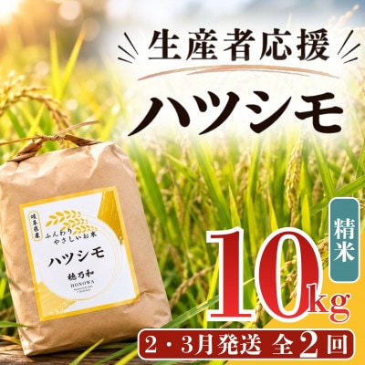 【発送月固定定期便】【先行予約】生産者応援!岐阜県産ハツシモ(精米)10kg【2・3月発送】全2回【配送不可地域：離島】【4089357】