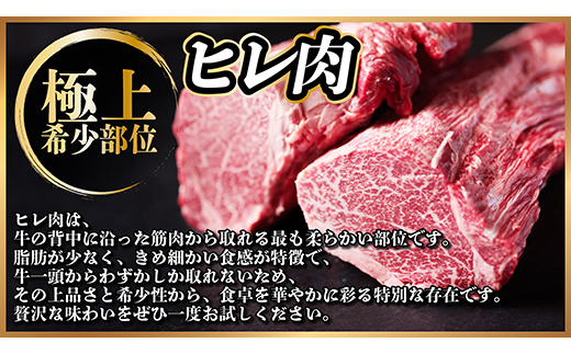 【毎月定期便】飛騨牛 ヒレ1本(約4〜5kg)【シャトーブリアン＆ヒレ】冷蔵便全3回【配送不可地域：離島】【4053253】