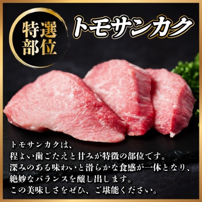 飛騨牛　トモサンカク・モモ焼肉　約400g(各約200g)【配送不可地域：離島】【1531166】