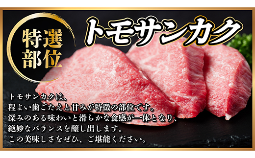 飛騨牛　トモサンカク・モモ焼肉　約400g(各約200g)【配送不可地域：離島】【1531166】