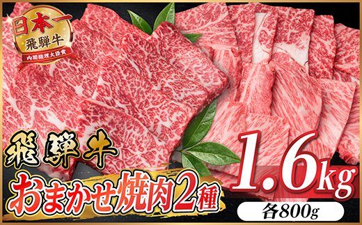 飛騨牛　おまかせ焼肉2種セット約1.6kg(各約800g) 訳あり　BBQ　上カルビ・ロースなど【配送不可地域：離島】【1738983】