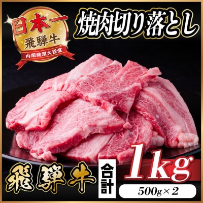 飛騨牛 焼肉 切り落とし 約1kg(約500g×2)訳あり【冷蔵便】【配送不可地域：離島】【1543362】