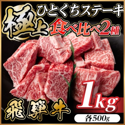 飛騨牛 ひとくちステーキ 食べ比べ 2種 約1kg(各約500g) 黒毛和牛 BBQ用【配送不可地域：離島】【1733160】