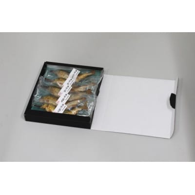 子持ち鮎塩焼き　70g×5尾【配送不可地域：離島】【1615217】