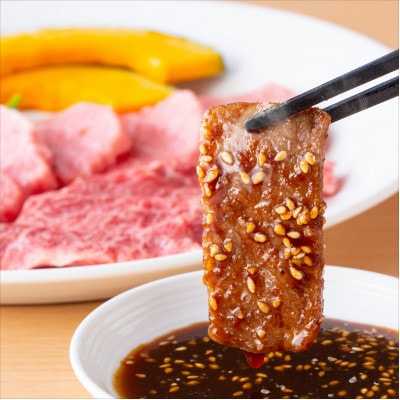 A5等級飛騨牛:焼肉用600g　ロース又は肩ロース肉【配送不可地域：離島】【1539448】