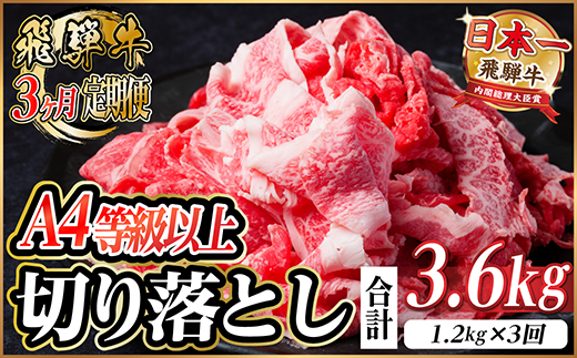 【毎月定期便】飛騨牛 厳選切り落とし 計3.6kg全3回　小分け【配送不可地域：離島】【4055982】