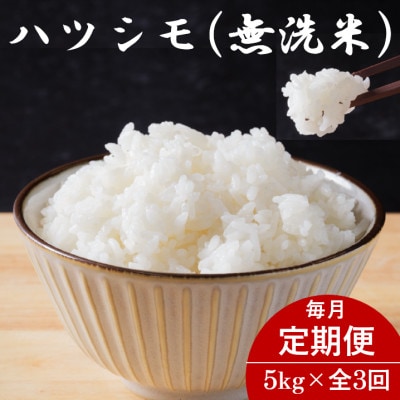 【毎月定期便】岐阜県産ハツシモ(無洗米) 5kg全3回【配送不可地域：離島】【4076367】