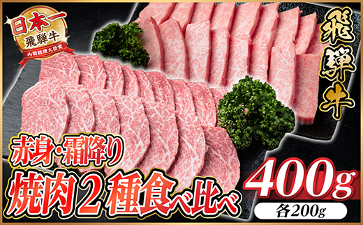 飛騨牛 赤身・霜降り焼肉2種食べ比べセット(ヒレ・三角バラカルビ)　約400g(各200g)タレ付き【配送不可地域：離島】【1745778】