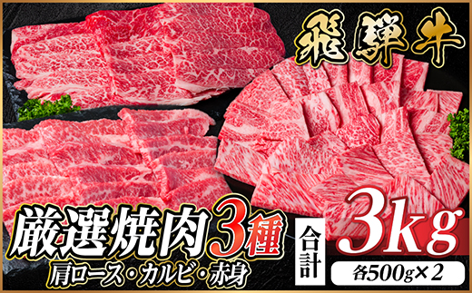 【12/20ご入金分まで年内発送】飛騨牛　厳選焼肉3種(肩ロース・カルビ・赤身)　計3kg【配送不可地域：離島】【1669125】