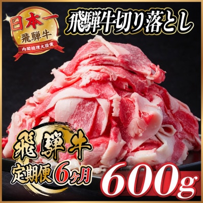 【毎月定期便】飛騨牛　切り落とし　約600g【冷蔵便】全6回【配送不可地域：離島】【4055015】