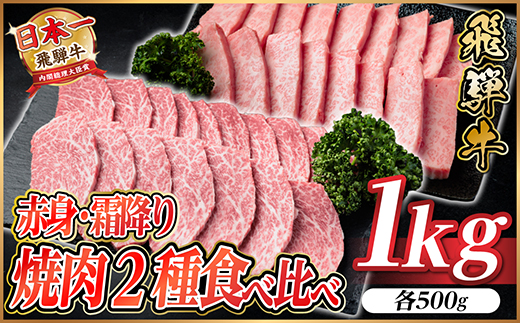 飛騨牛　赤身・霜降り焼肉2種食べ比べセット(ヒレ・三角バラカルビ)　計1kg(各500g)タレ付き【配送不可地域：離島】【1745795】