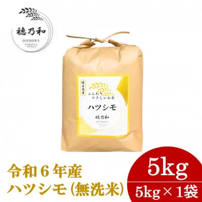 【先行予約】岐阜県産ハツシモ(無洗米)5kg【配送不可地域：離島】【1540849】