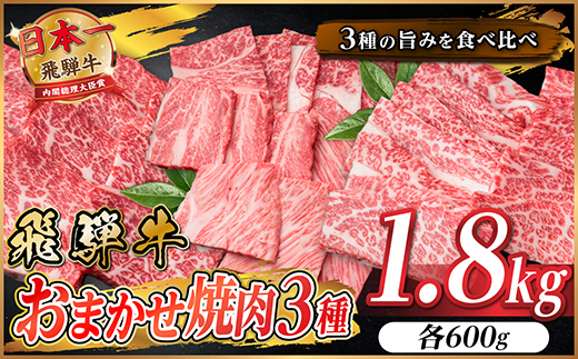 飛騨牛　おまかせ焼肉3種セット約1.8kg(各約600g)訳あり　BBQ　上カルビ・ロースなど【配送不可地域：離島】【1739044】