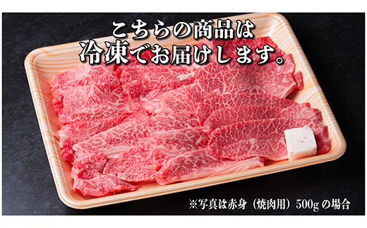 飛騨牛　厳選赤身(焼肉・BBQ用) 600g(300g×2)　黒毛和牛　小分け　A4〜A5等級【配送不可地域：離島】【1543753】
