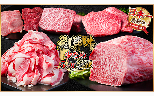 【毎月定期便】飛騨牛 少なめ定期便 計1.8kg 全5回 ステーキ 焼肉 切り落とし 赤身ブロック肉【配送不可地域：離島】【4055500】