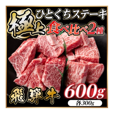 飛騨牛 ひとくちステーキ 食べ比べ 2種 約600g(各約300g) 黒毛和牛 BBQ用【配送不可地域：離島】【1733159】