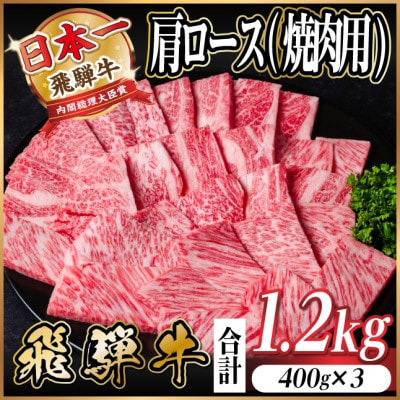 【12/20ご入金分まで年内発送】飛騨牛　厳選肩ロース(焼肉・BBQ用) 1.2kg(400g×3)【配送不可地域：離島】【1674166】