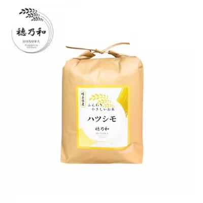 【毎月定期便】岐阜県産ハツシモ(無洗米) 10kg全6回【配送不可地域：離島】【4076354】