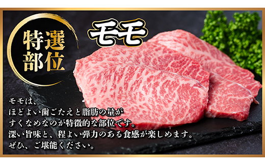 飛騨牛　トモサンカク・モモ焼肉　約400g(各約200g)【配送不可地域：離島】【1531166】