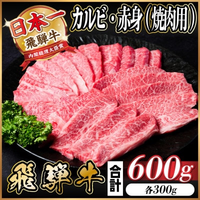 飛騨牛 カルビ・赤身(焼肉用)600g(各300g)【配送不可地域：離島】【1543762】