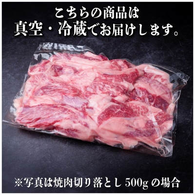 飛騨牛 焼肉 切り落とし 約500g　訳あり【冷蔵便】【配送不可地域：離島】【1543368】