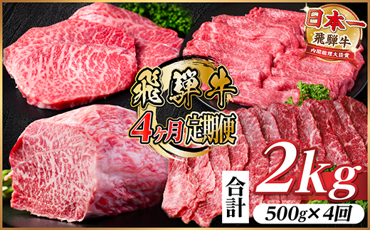 【毎月定期便】飛騨牛 赤身定期便 計2kg 焼肉 BBQ すき焼き しゃぶしゃぶ ブロック全4回【配送不可地域：離島】【4072758】