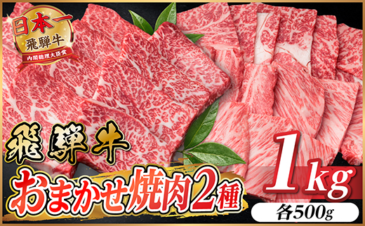 飛騨牛　おまかせ焼肉2種セット約1kg(各約500g) 訳あり　BBQ　上カルビ・ロースなど【配送不可地域：離島】【1738980】