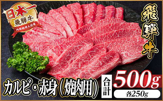 飛騨牛 カルビ・赤身(焼肉・BBQセット)500g 小分け 黒毛和牛 A4〜A5等級【配送不可地域：離島】【1543761】