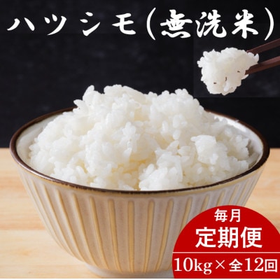 【毎月定期便】岐阜県産ハツシモ(無洗米) 10kg全12回【配送不可地域：離島】【4076358】