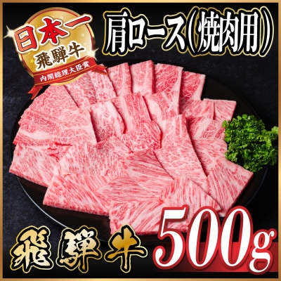 飛騨牛 肩ロース 焼肉 500g【配送不可地域：離島】【1543801】