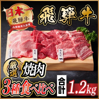 飛騨牛　焼肉厳選3種食べ比べセット(カルビ・トモサンカク・モモ)　約1.2kg【配送不可地域：離島】【1531176】