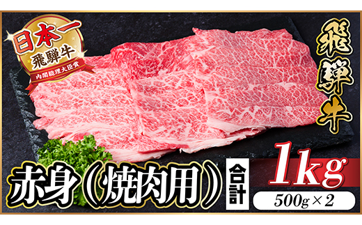 【12/20ご入金分まで年内発送】飛騨牛 厳選赤身(焼肉・BBQ用) 1kg(500g×2) 小分け【配送不可地域：離島】【1543758】